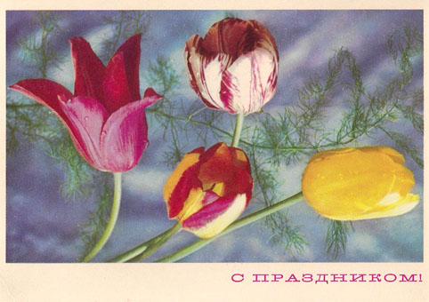Почтовая открытка «С праздником!» - 1969г., СССР