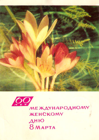 Почтовая открытка «60 лет 8 Марта» - 1969г., СССР