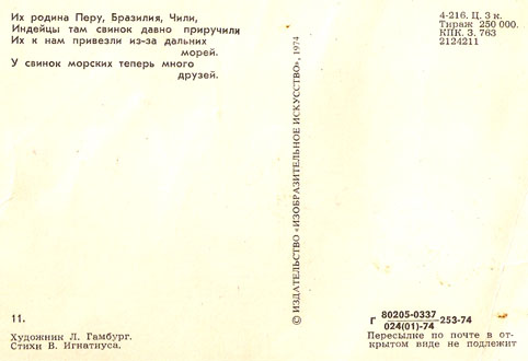 Почтовая открытка «Морские свинки» - 1974г., СССР