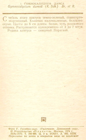 Почтовая открытка «Гимнокалициум Дамса» - 1974г., СССР
