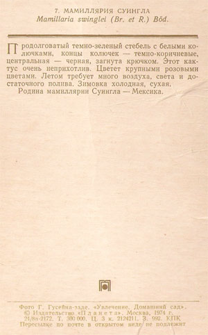 Почтовая открытка «Мамиллярия Суингла» - 1974г., СССР