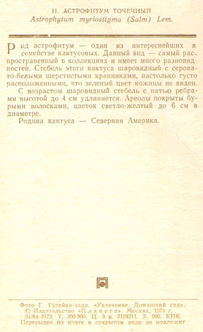 Почтовая открытка «Астрофитум точечный» - 1974г., СССР