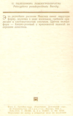 Почтовая открытка «Пелецифора ложногребенчатая» - 1974г., СССР