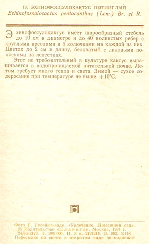 Почтовая открытка «Эхинофоссулокактус пятииглый» - 1974г., СССР