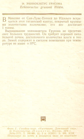 Почтовая открытка «Эхинокактус Грусона» - 1974г., СССР