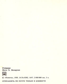 Почтовая открытка «Гепарды» - 1988г., СССР