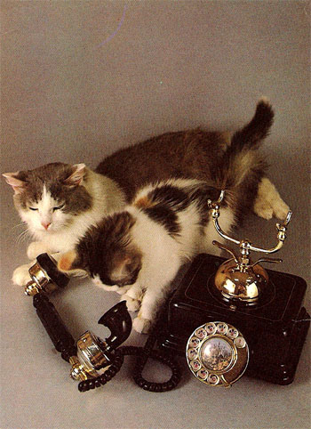 Почтовая открытка «Не дозвонились» - 1989г., СССР