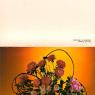 Почтовая открытка «С днем рождения!» - 1984г., СССР